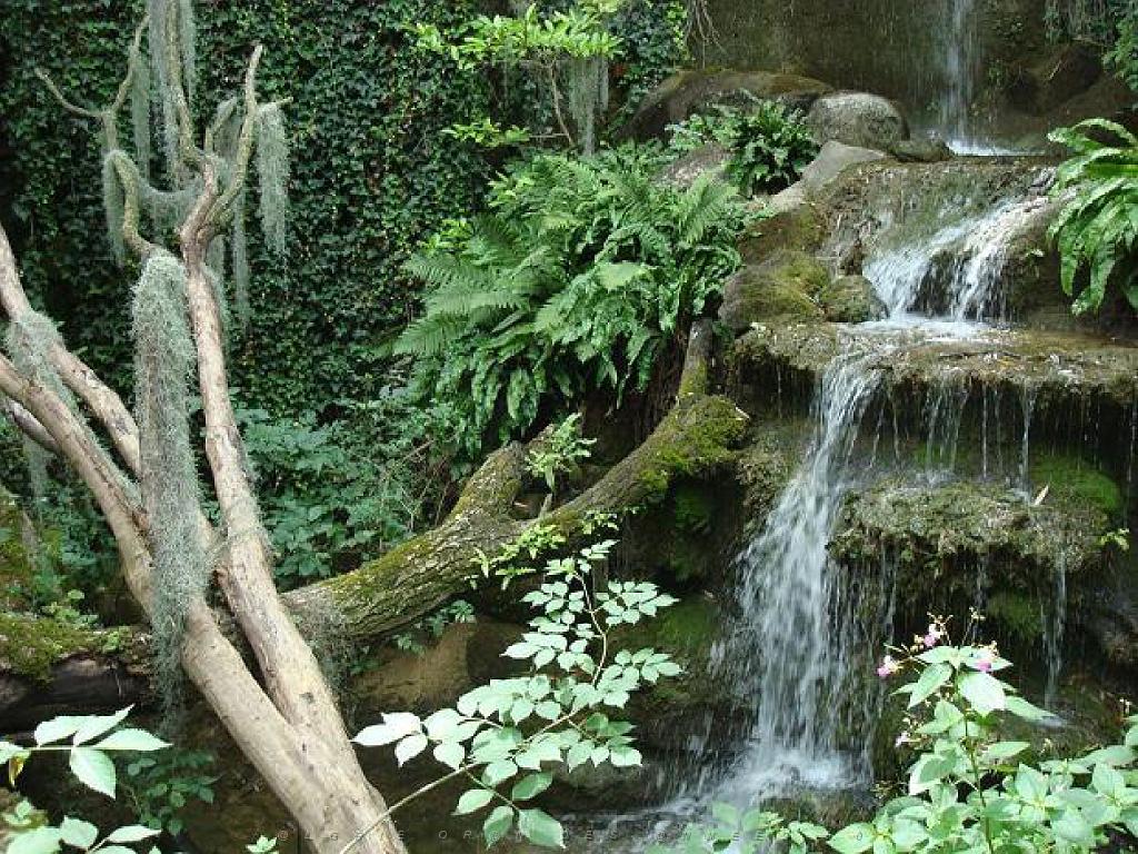 149 BIO PARC DE DOUE LA FONTAINE 3- 2016_000047.jpg